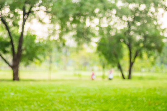 Blurred-background,People-exercise-at-green-park-with-bokeh-ligh-